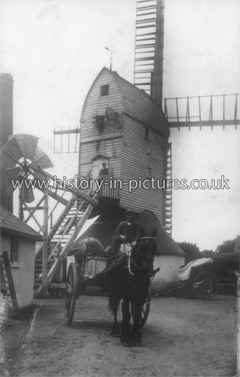 The Windmill, West Mersea, Essex. c.1906